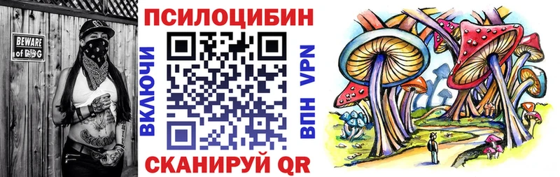 Псилоцибиновые грибы Cubensis  MEGA ссылка  Исилькуль 